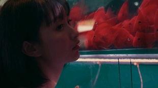 铁路人app官方版下载 