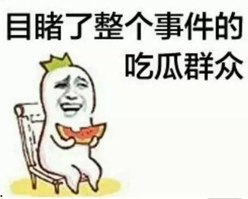 迷你吃鸡射击 