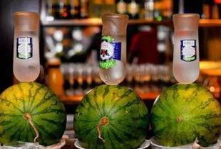 流行世界跑步流行世界跑步安卓版下载2024 