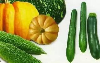 黑料吃瓜网apk普通安装 