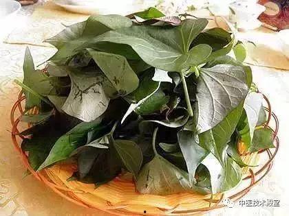 兔子头更佳恐怖幸存者 